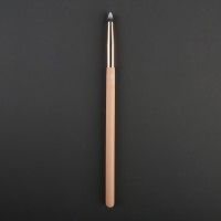 E36 Small Pencil  Brush