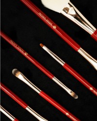 MEIYUAN 10Pcs Red Makeup Brush Set
