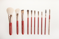 MEIYUAN 10Pcs Red Makeup Brush Set